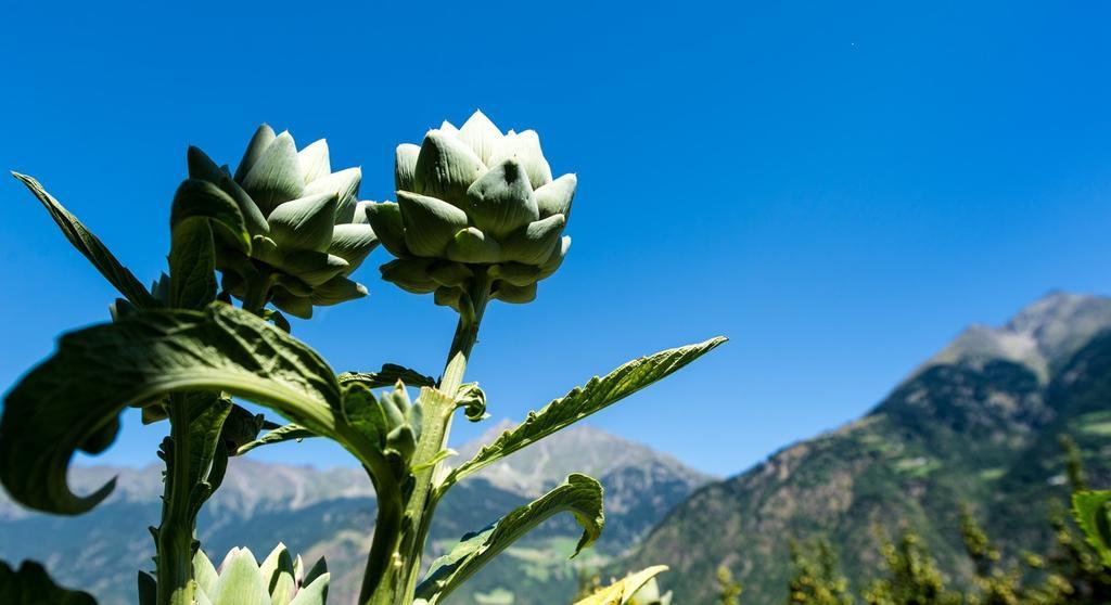 Biohof Niedereben Βίλα Rablà Εξωτερικό φωτογραφία