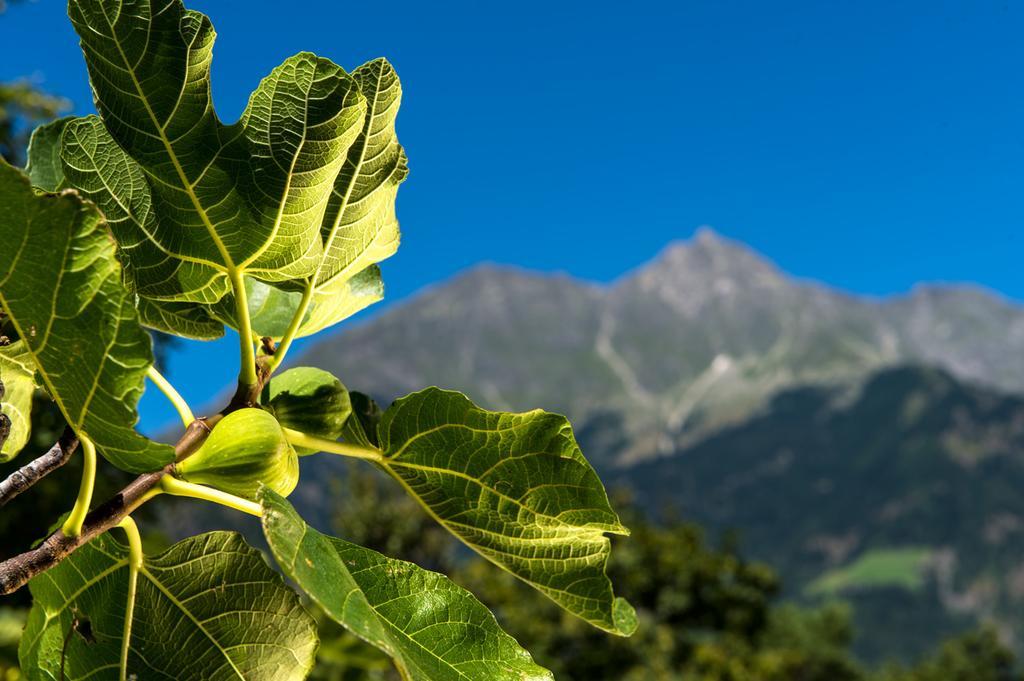 Biohof Niedereben Βίλα Rablà Εξωτερικό φωτογραφία